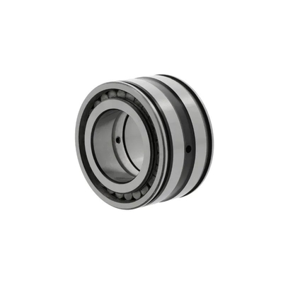 SL04-5005-PP-2NR Двухрядный цилиндрический роликовый подшипник с производительностью 25*47*30